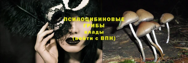 сатива Алзамай